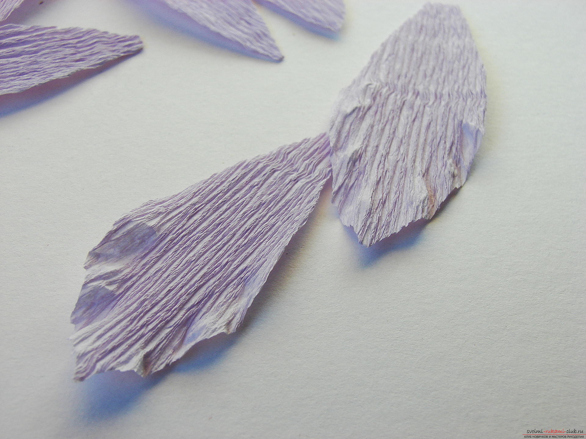 Мастер-класс научит как сделать гофрированные цветы своими руками – лилии из гофрированной бумаги.. Фото №6